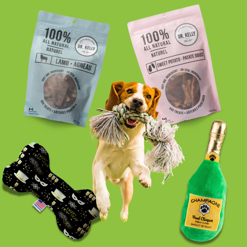 A beagle dog playing with a rope toy, surrounded by Dr. Kelly's all-natural dog treats and festive holiday toys, including a campaign bottle plush toy and a New Year's plush bone.