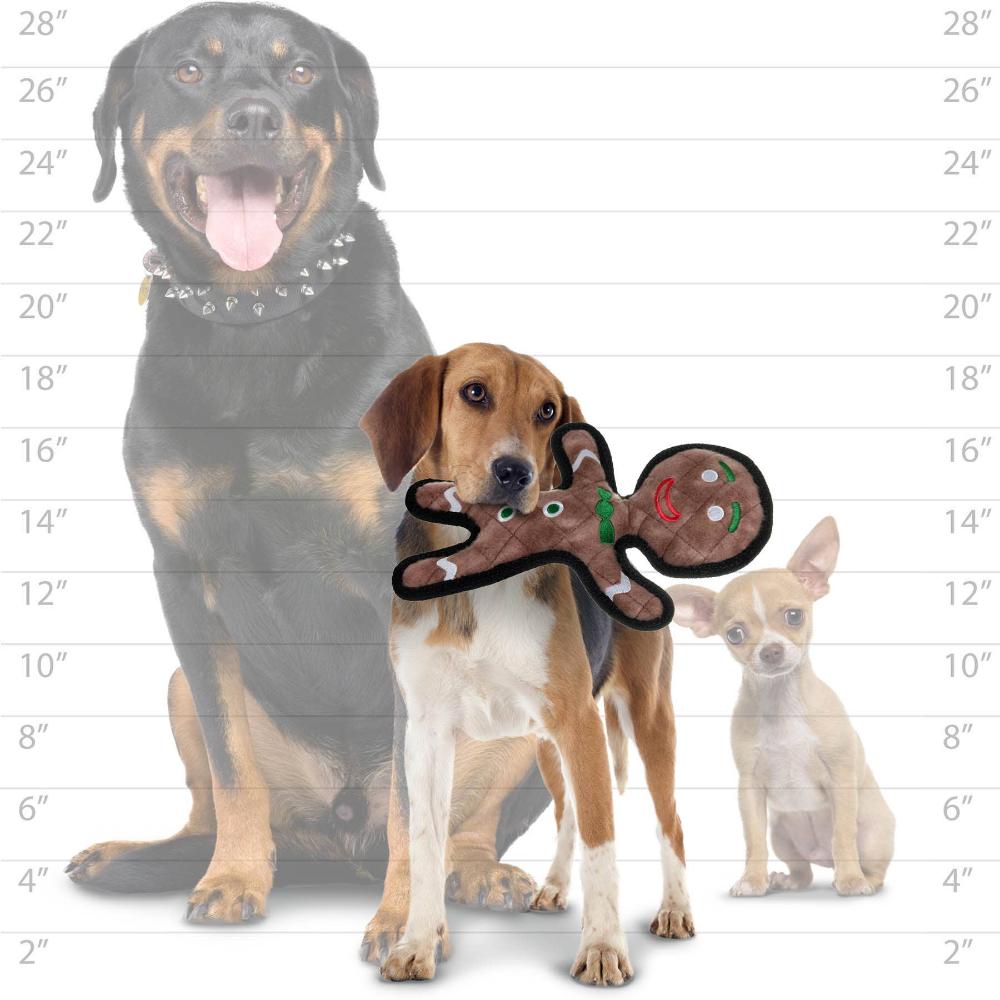 A comparison of dog sizes with a gingerbread man dog toy, showing how the toy can be enjoyed by dogs of all sizes.