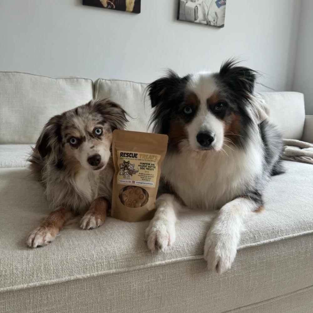 Happy dogs enjoying a tasty treat from Rescue Treats, a brand that supports animal rescues.